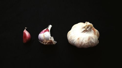 Close-up of food against black background