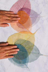 Close-up of person holding multi colored umbrella
