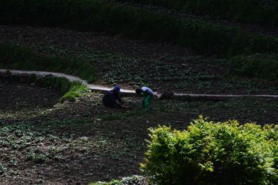 High angle view of men on footpath