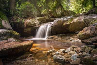 Scenic view of waterfall in forest