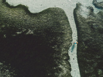 Aerial view of woman standing at beach