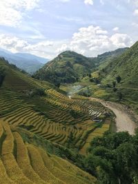 Scenic view of agricultural field against sky