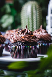 Close-up of cupcakes in plate