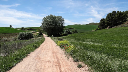 Empty road along countryside landscape