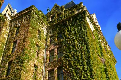 Low angle view of building against blue sky