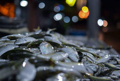 Close-up of fish for sale in market