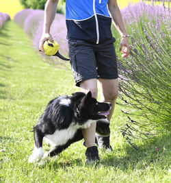 Rear view of man with dog on grassy field