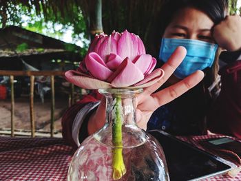 Close-up of hand holding pink roses on table