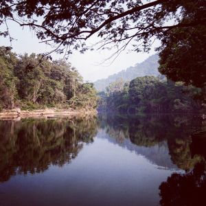 Scenic view of lake in forest against sky