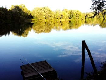 Reflection of trees in water