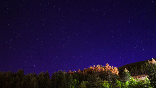 Scenic view of trees against sky at night