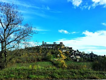 Trees and buildings on field against sky