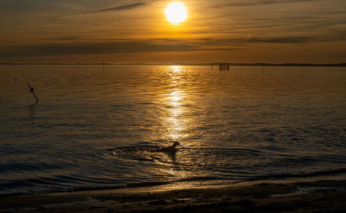 Scenic view of sea against sky during sunset