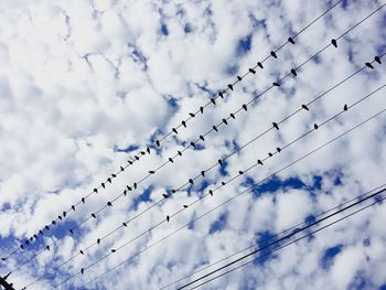 Low angle view of birds on cables against clouds