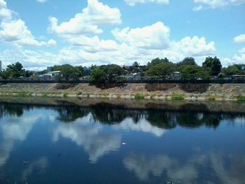 Reflection of trees in river