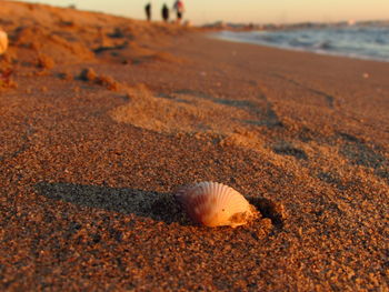 Close-up of sand