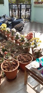 High angle view of potted plants on table