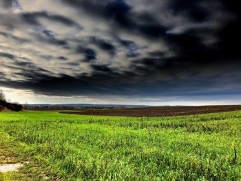 Scenic view of agricultural field against sky