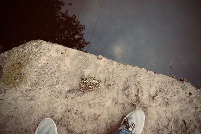 Low section of person standing on land