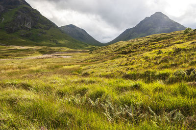 Scenic view of landscape and mountains against sky