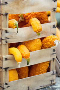 Close-up of orange fruits in container