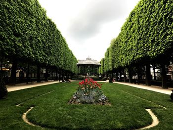 View of trees in park against sky