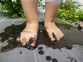 Low section of child standing on deck with in mud