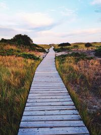 Winding boardwalk leading across tract of uncultivated land