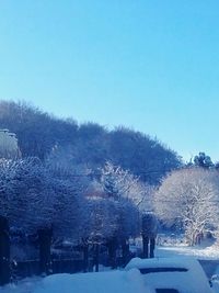 Snow covered trees against clear sky
