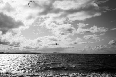 Bird flying over sea against sky