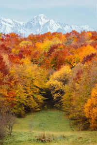 Scenic view of mountain during autumn