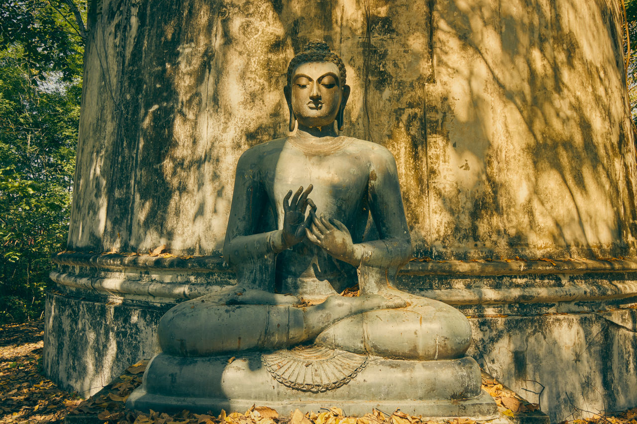 STATUE OF BUDDHA WITH PLANTS