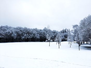 Trees on snow covered field against sky