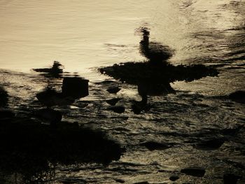 Rocks in sea