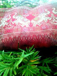 Close-up of strawberry on plant