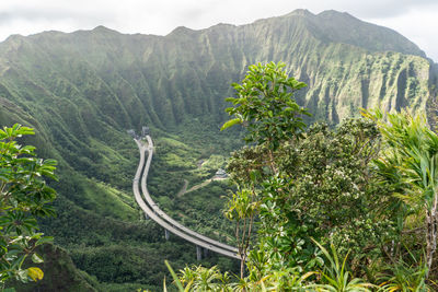 High angle view of plants and land against mountains