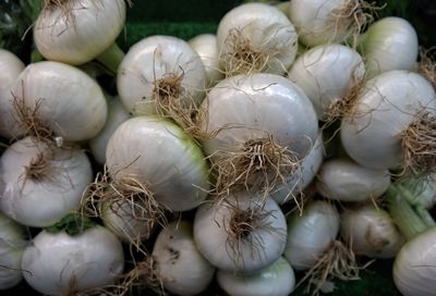Close-up of onions at market for sale