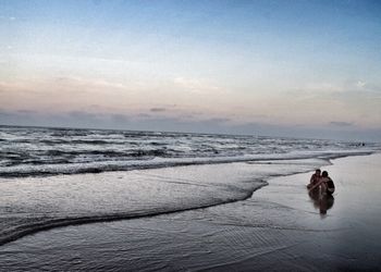 Dog standing on beach