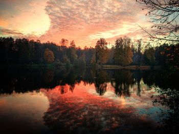 Reflection of trees in lake against sky during sunset