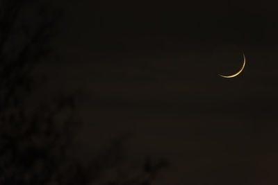 Low angle view of moon in sky at night