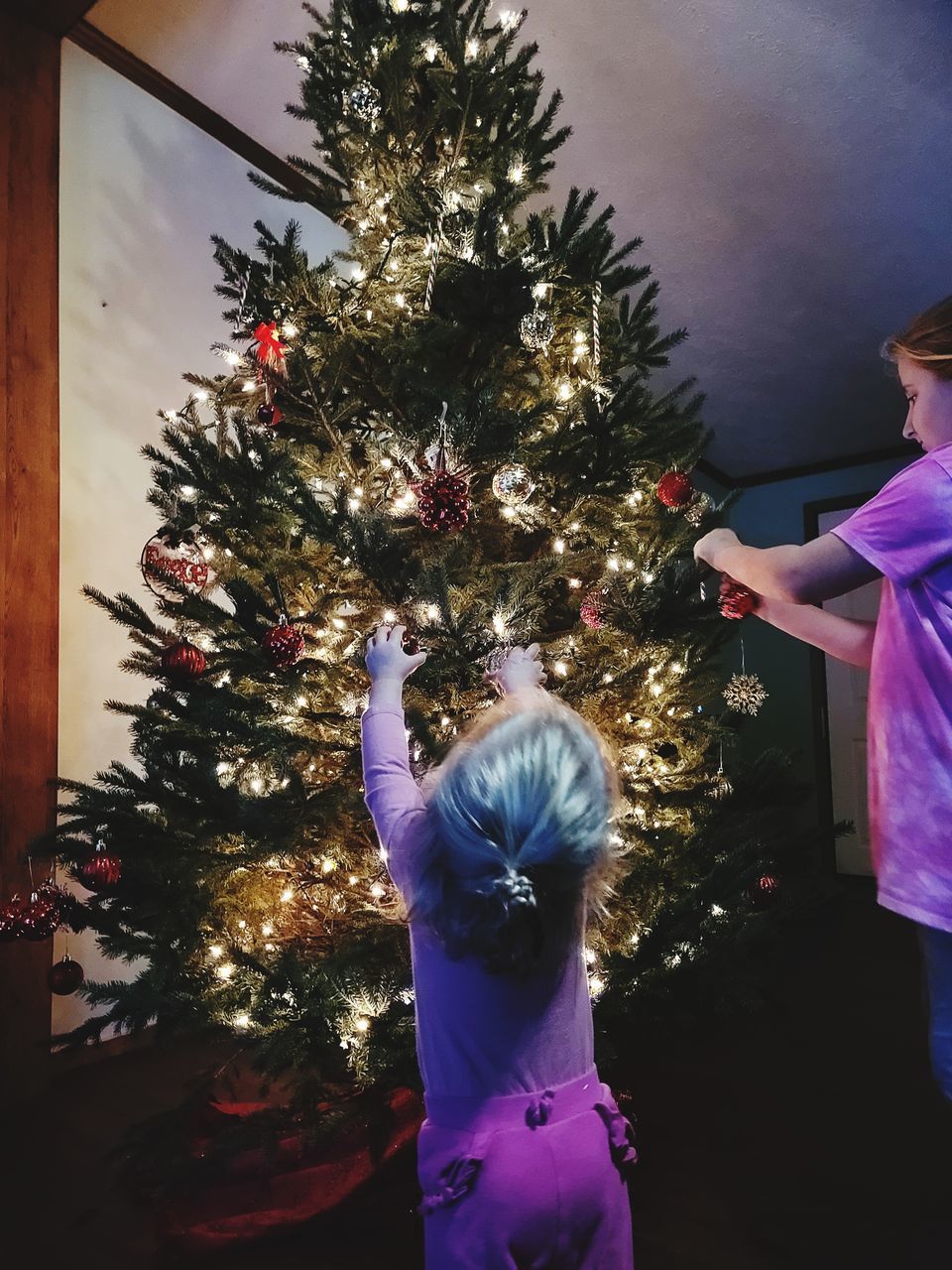 VIEW OF CHRISTMAS TREE AT NIGHT