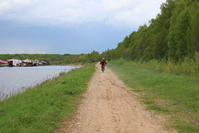 Rear view of woman walking amidst plants against sky