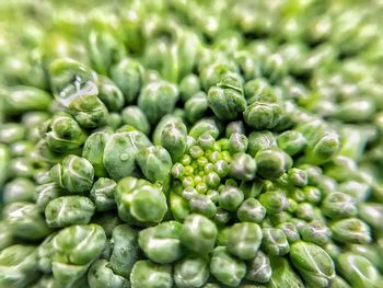 Full frame shot of broccoli