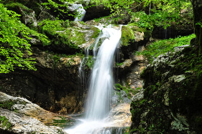 Waterfall in forest