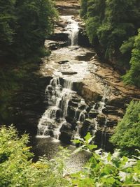 Stream flowing through rocks in forest