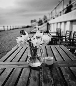 Close-up of potted plants on table by bench