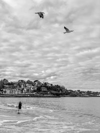 Birds flying over girl at beach against sky