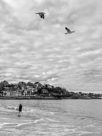 Birds flying over sea against sky