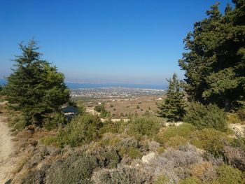 Trees on landscape against clear blue sky