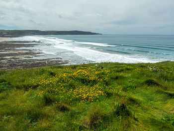 Scenic view of sea against sky